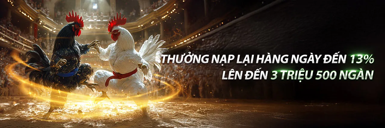 Hình ảnh đại diện cho Điều Khoản và Điều Kiện của 789bet khuyến mãi